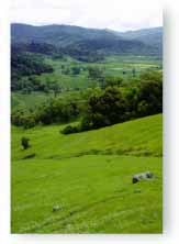 McFadden Farms