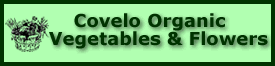 Covelo Organic Vegetables & Flowers