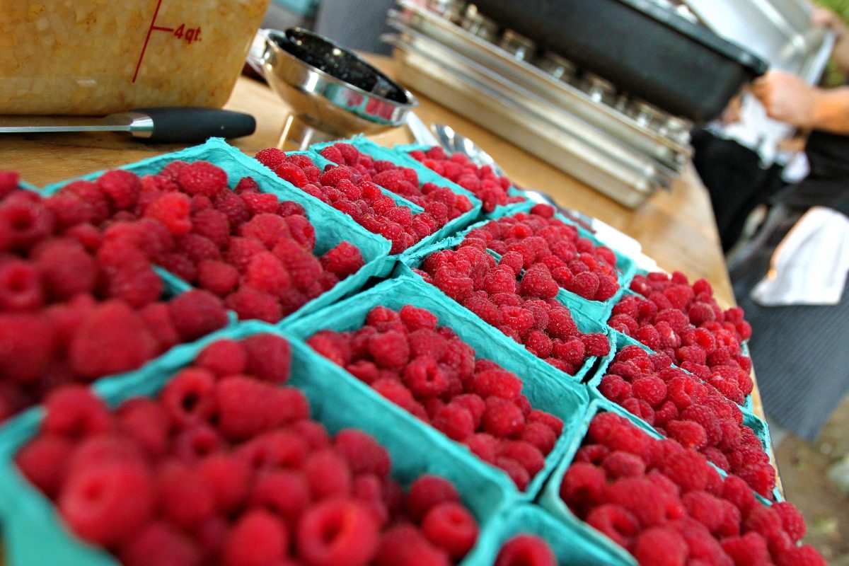 Fresh raspberries