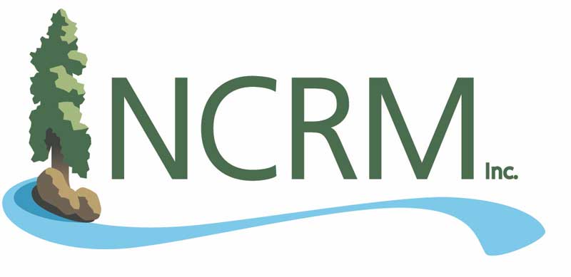 NCRM logo NCRM logo
